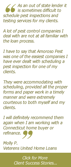 Pest Inspection Client Success Stories